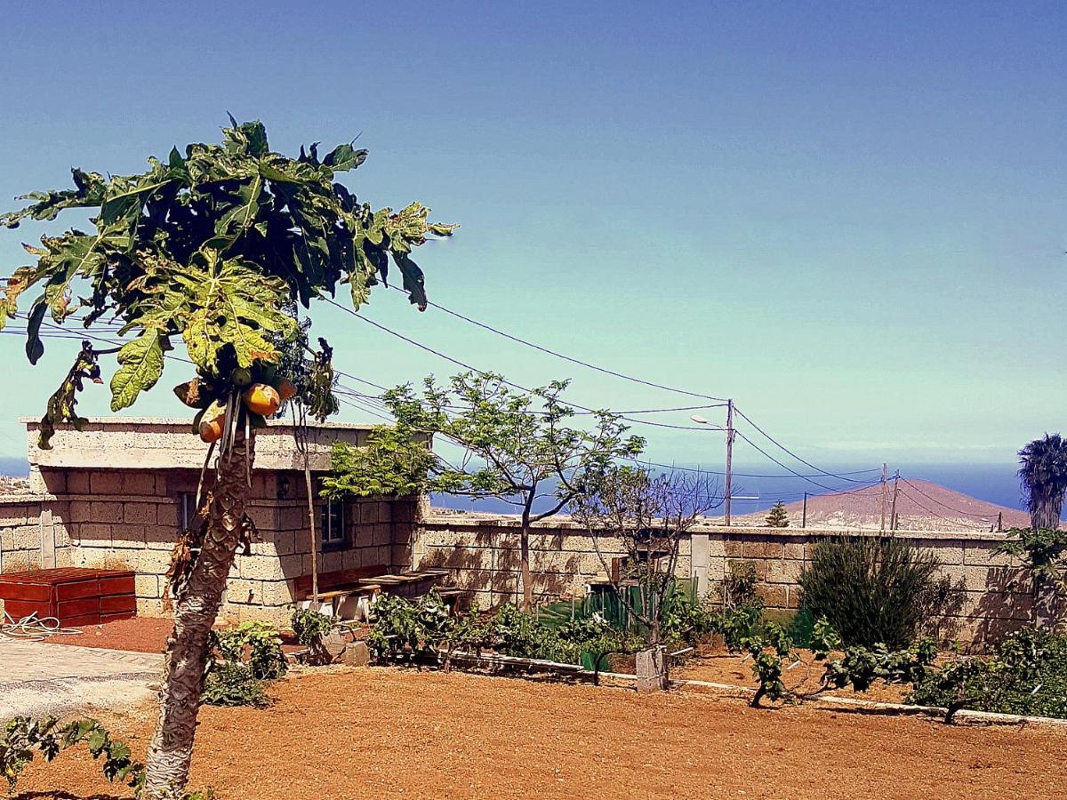 Casa Del Sur, En El Sur De Tenerife Granadilla De Abona Exterior foto