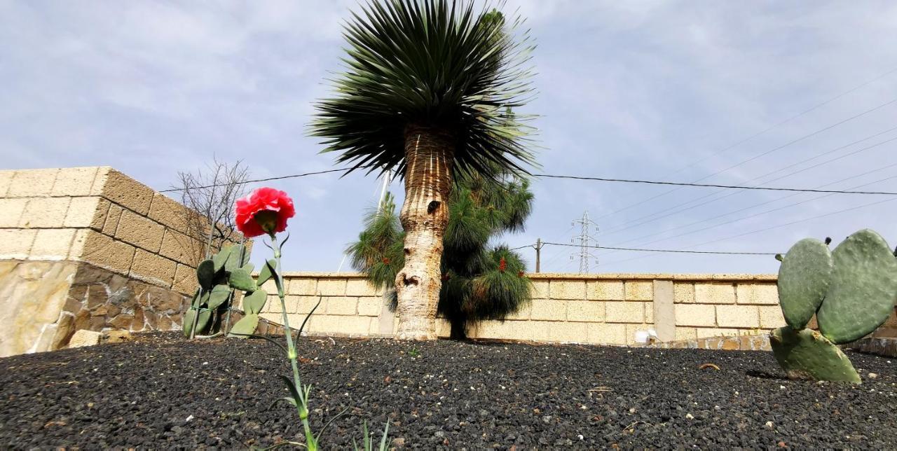 Casa Del Sur, En El Sur De Tenerife Granadilla De Abona Exterior foto