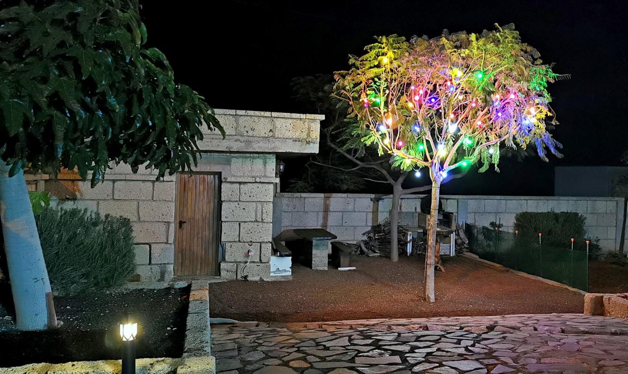 Casa Del Sur, En El Sur De Tenerife Granadilla De Abona Exterior foto